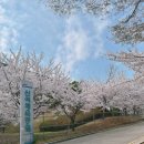 신석체육공원 입구 이미지