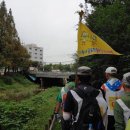 노인회관 건너편 횡단보도 이미지