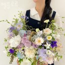벨플로르