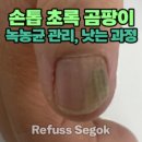 레푸스강남세곡점 이미지