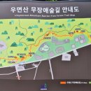 6월25일(화) 우면산무장애숲길+우면산둘레길 이미지