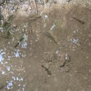 안창약수터 이미지