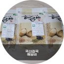 건강한 해담
