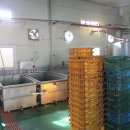 내각2리 이미지