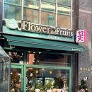 플레베르플라워 이미지
