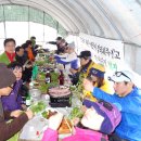 박영호농장 이미지