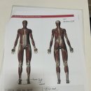 (주)세하라인 이미지