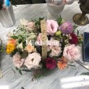 밀드플레 이미지