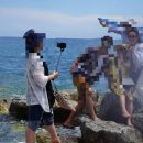 싱싱팜 이미지