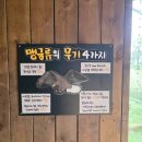 곡성-165 | 전주 가볼만한 곳 가족 나들이 코스 추천 전주동물원