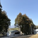 블랭크 애견샵 | [제주] 카페 담소요| 남원카페, 오리카페 | 한라산뷰 조용한 카페 | 제주애견동반카페