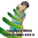 한여름: なつ🍙 ☘️ 폭염 속으로 - 7月~ 8月