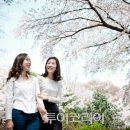 호텔봄날 이미지