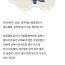 나 회색똥 쌌거든 이미지