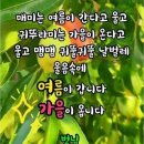 9월 5일 금요일 간추린 뉴스와 날씨 이미지