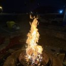 레드앤풀 이미지