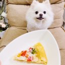 댕큐베리 이미지