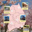 파스쿠찌 - 의정부시 | 파스쿠찌