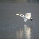 신사-111 이미지