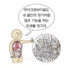 마이크로바이옴의 상태가 건강 결정 이미지