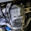 양산 반달곰 카센타 이미지