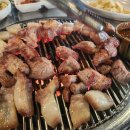 신촌고기집에서 제주산 생고기를 맛보다! 연탄불의 풍미가 가득한 &#39;제주도로담&#39; 방문 후기 🔥🥩