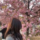 순수아헤어 | [미금 미용실 준오헤어 미금2호점] 봄맞이 애쉬매트브라운 톤업 염색 만족 후기 💅💗