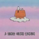 스바라시 - 서구 둔산남로 97 | 스바라시