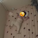 [육아일기] 4개월 잠퇴행기 안겨자는 아기 낮잠 수면교육 후기