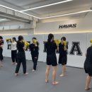 하바스MMA 압구정 이미지