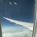 세븐일레븐 부산신호스타점 | 홍콩 3박 4일 1일차 베이크하우스 유엔키 구룡공원 에어프레미아 스타의 거리 심포니오브라이트 록예딤섬