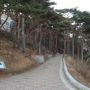 손양주유소 이미지