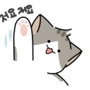 토브 동물병원 이미지