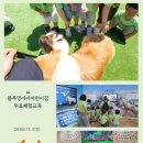 블루밍아이 | 🐶 블루밍아이 어린이집 무료체험교육 후기 🐾