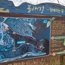 숲정경로당 이미지