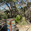 Leura Cascade Blue Mts N. P. Third Aug 24 by John H Hwang 이미지