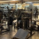 머슬팩토리 하단점 이미지