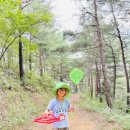 삼척동자 유아숲체험원 이미지