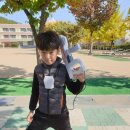 부성태권도장 이미지