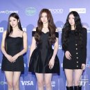 검은고양이 이미지