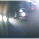 렙타일케이지 이미지