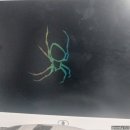 패드로 그리는 드로잉 | 100일 크로키 챌린지 어린이용 드로잉 패드로 동물 크로키하기