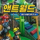 비발디파크 앤트월드 후기 팁 | 직원 안내 (feat. 5살 아들)