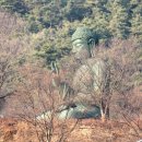 금정선원