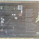주막촌이가 이미지