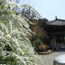 엄광산임도 이미지