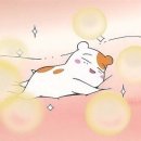 한식조리기능사 실기 이미지