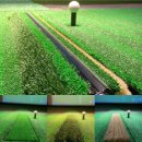 그랜드 스크린골프연습장 이미지