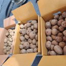 소농농장 이미지