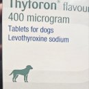 메디컬나라약국 이미지